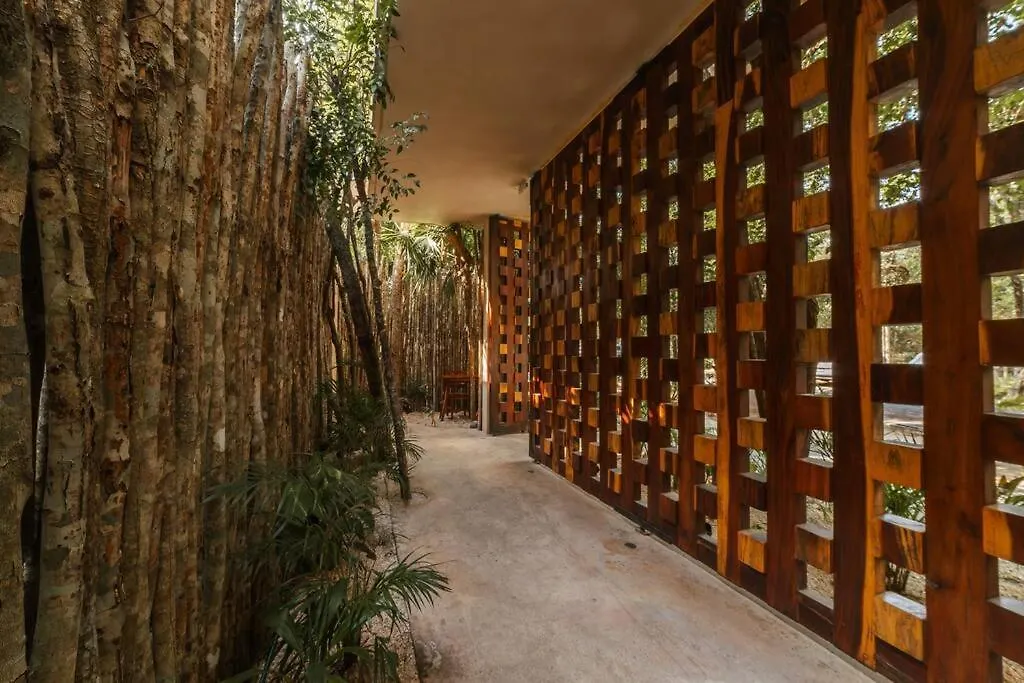 Luxury Condo With Private Pool Tulum Apartment